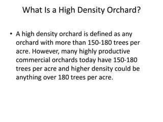 The History and application of the HIGH-DENSITY orchard system - raincitystudios.com