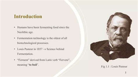 The History of Fermentation: From Ancient Times to Modern Innovation - wintechmobiles.com