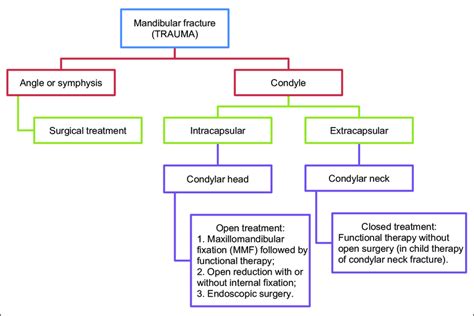 The History of Fracture Treatment - Clinical Tree - wintechmobiles.com