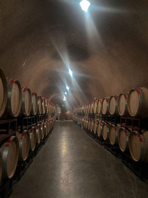 The History of Wine: From Ancient to Modern Times - wintechmobiles.com