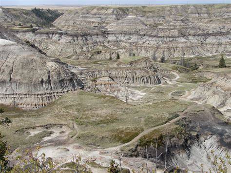 The Horseshoe Canyon Formation in Southern Alberta: Surface and ... - raincitystudios.com