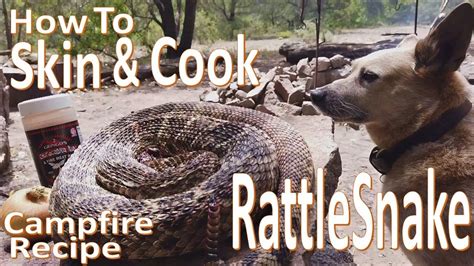 The How-Tos of Skinning and Preparing Rattlesnake Meat - balustradellc