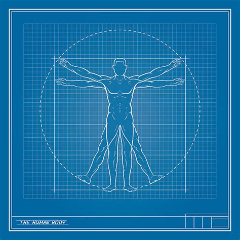 The human blueprint - Science News - muktibox.com