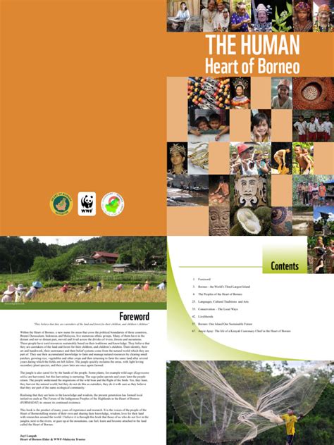 The Human Heart of Borneo - WWF - wintechmobiles.com