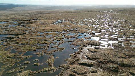 The Hydrology of Peatlands | Springer Nature Link - raincitystudios.com