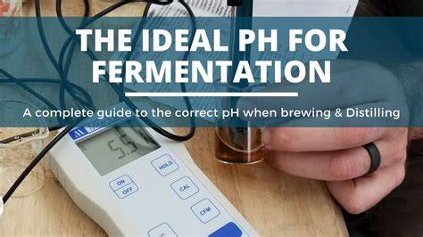 The Ideal pH for Mashing And Fermentation (+ How To … - raincitystudios.com