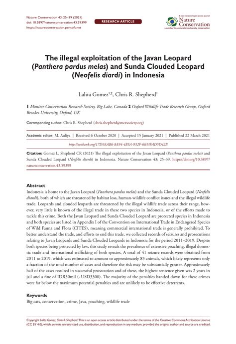 The illegal exploitation of the Javan Leopard (Panthera pardus melas ... - raincitystudios.com