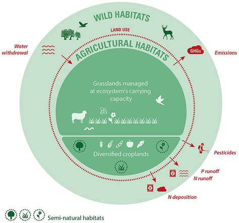 The Impact of Agricultural Expansion on Wild Animal Habitats and ... - raincitystudios.com