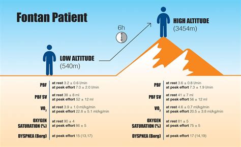 The Impact of Altitude on Lung Capacity and Training - balustradellc