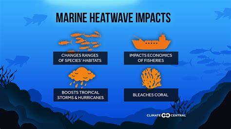 The Impact of Climate Change on Wave Intensity and Marine Habitats - raincitystudios.com