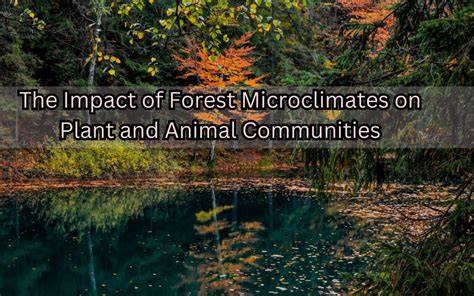 The Impact of Forest Microclimates on Plant and … - raincitystudios.com