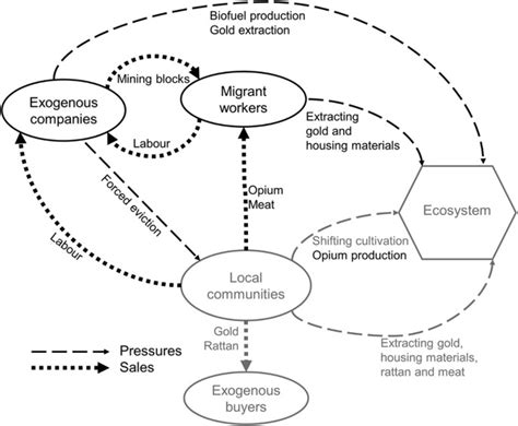 The impact of gold mining and agricultural concessions … - balustradellc