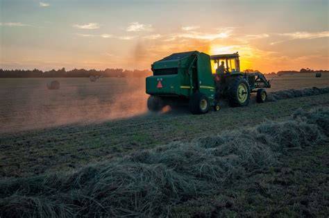 The Impact of Sand Mining on Delta Agriculture - raincitystudios.com