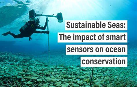 The impact of smart sensors on ocean conservation - raincitystudios.com