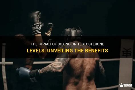 The Impact of Testosterone on Boxing Performance - balustradellc