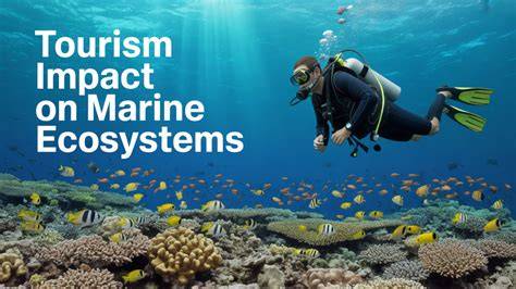 The impact of tourism on marine ecosystems - raincitystudios.com