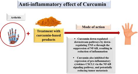 The Impact of Turmeric and Black Pepper in Anti-inflammatory Dog ... - balustradellc