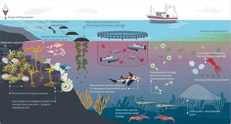 The Impacts of Fisheries on Marine Ecosystems and the ... - JSTOR - muktibox.com