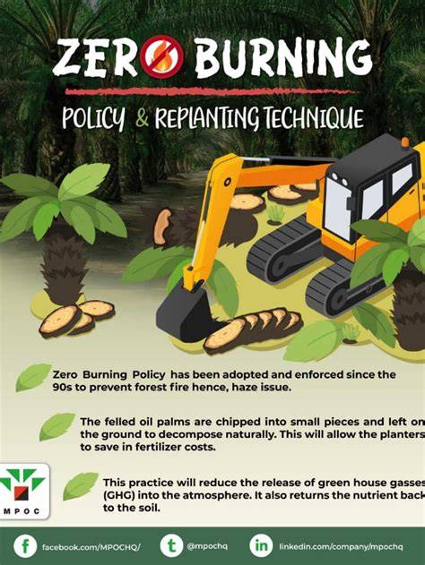 THE IMPLEMENTATION OF THE ZERO BURNING POLICY … - raincitystudios.com