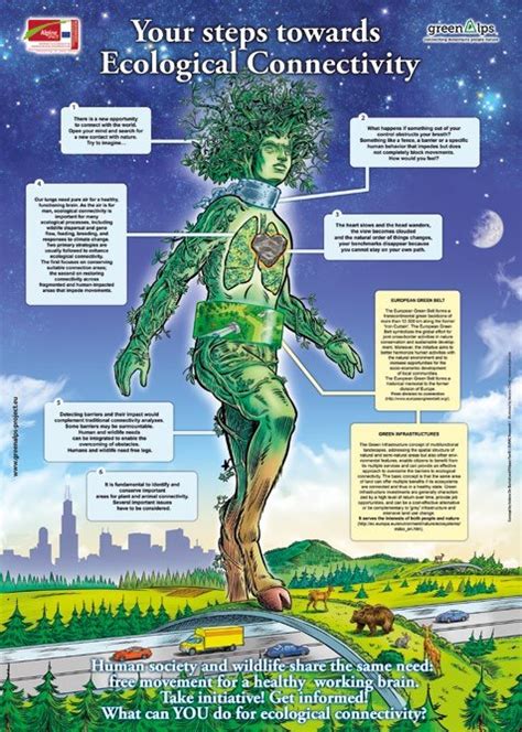 The importance of ecological connectivity and the role … - raincitystudios.com