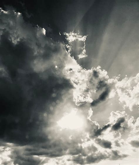 The Importance of Embracing Fear and Taking Leaps - balustradellc