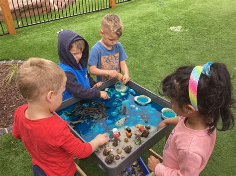 The Importance of Outdoor Play in Early Childhood Education - balustradellc