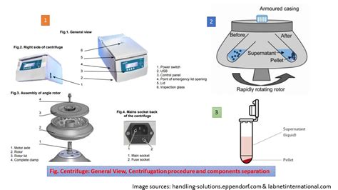 The Importance of Proper Centrifuge Speed in Clinical Labs and ... - wintechmobiles.com