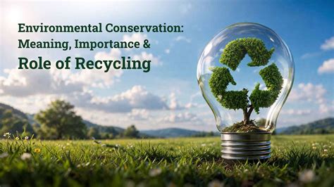 The importance of sprouting ability in conservation and development … - raincitystudios.com