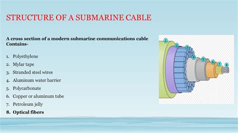 The importance of submarine cables - wintechmobiles.com