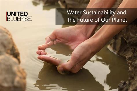 The Importance of Water Sustainability and Our Future - raincitystudios.com