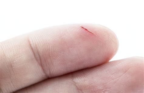 The Incised & Impressed Pottery Style of Mainland Southeast Asia ... - muktibox.com