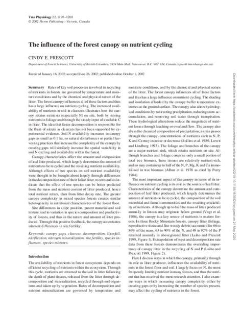 The influence of the forest canopy on nutrient cycling - raincitystudios.com