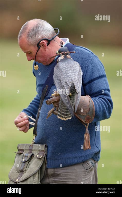 THE INTERNATIONAL CENTRE FOR BIRDS OF PREY (Newent)