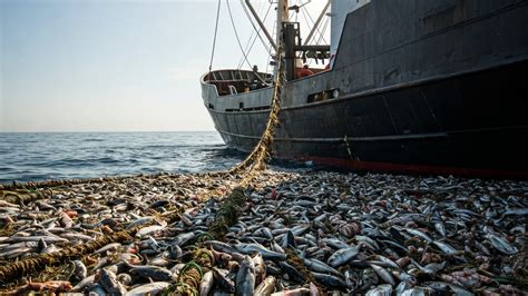 THE INTERNATIONAL LEGAL FRAMEWORK FOR FISHERIES … - balustradellc