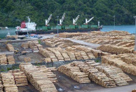 THE INTERNATIONAL TIMBER TRADE - raincitystudios.com