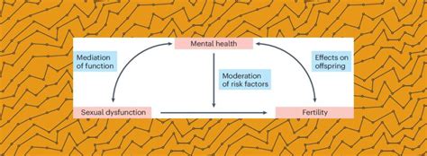 The interplay between male fertility, mental health and sexual ... - Nature - muktibox.com