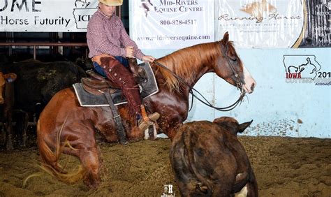 THE IOWA BREEDERS CUTTING FUTURITY ASSOCIATION, INC.