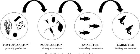The key role of zooplankton in ecosystem services: A perspective of ... - muktibox.com