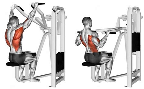 The Lat Pulldown Machine: Wajib untuk Rutinitas … - balustradellc