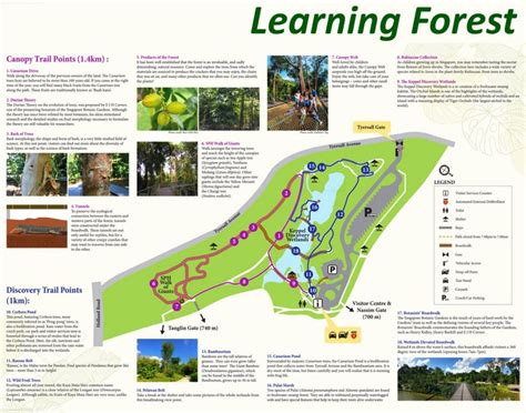 The Learning Forest - National Parks Board - raincitystudios.com