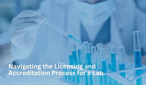 The licensing and certification process | Therapeutic Goods ... - balustradellc