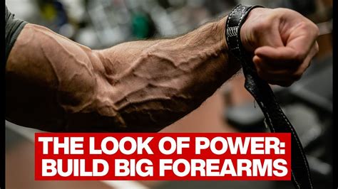 The Look of Power: Build Big Forearms - T NATION - balustradellc