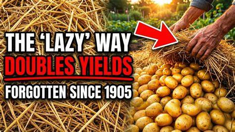 The Lost Composting Method That Produces Massive Yields - raincitystudios.com