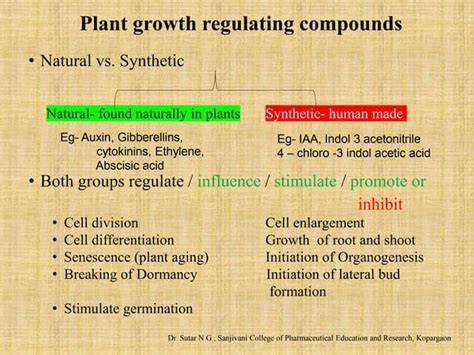 The Main Synthetic and Natural Plant Growth ... - Plant … - raincitystudios.com