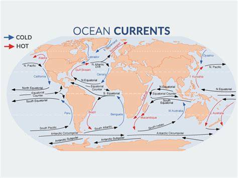 The Major Ocean Currents of the World - Earth How - raincitystudios.com