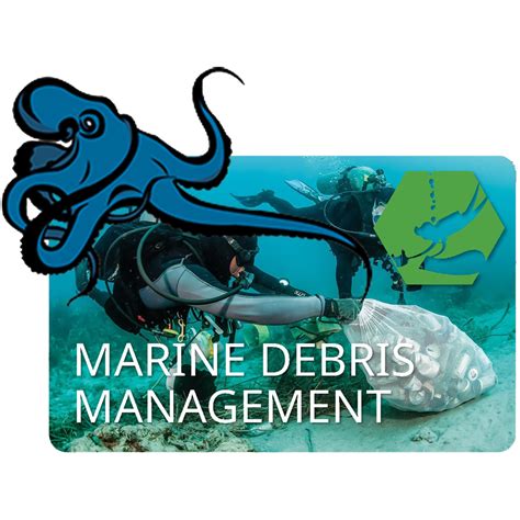 THE MANAGEMENT OF MARINE DEBRIS - raincitystudios.com