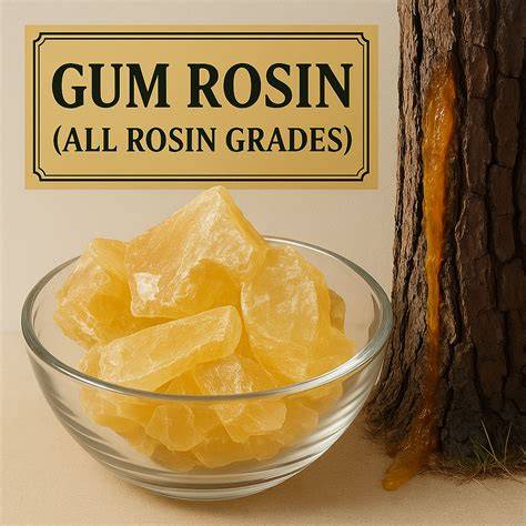 The many applications of gum rosin - Carst & Walker - raincitystudios.com
