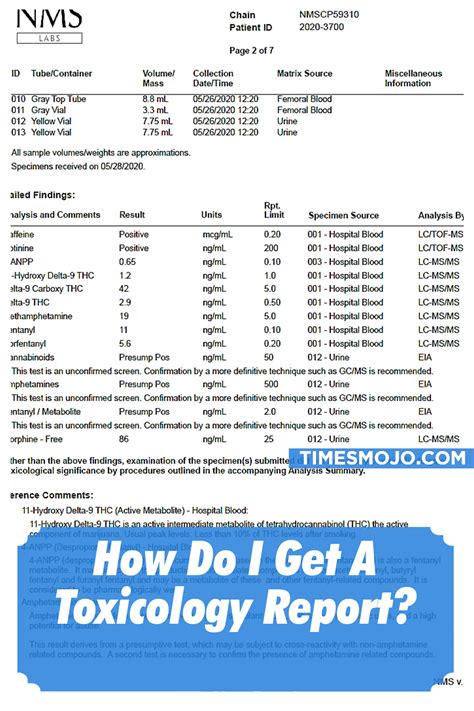 The Meaning of Drug Toxicology Reports and Tests - wintechmobiles.com