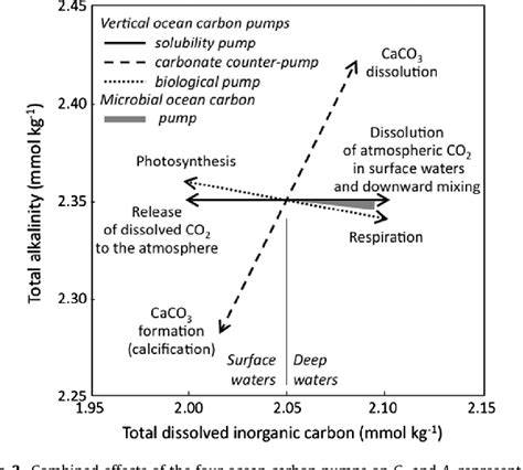 The microbial carbon pump concept: Potential biogeochemical ... - raincitystudios.com