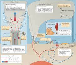 The microbiomes of deep-sea hydrothermal vents: distributed ... - Nature - raincitystudios.com